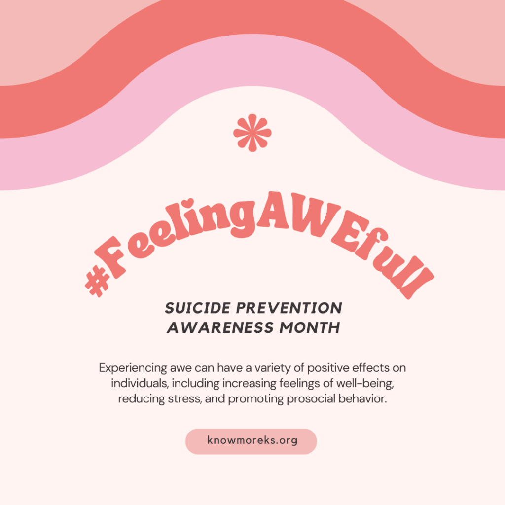 pink graphic with the hashtag #FeelingAWEfull and Suicide Prevention Awareness Month